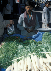 Radish Vendor