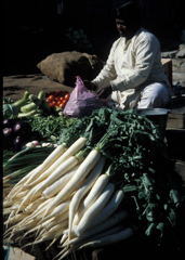 Radishes and vegetables Street Vendor 