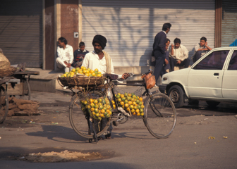 Selling Oranges from Bicycle