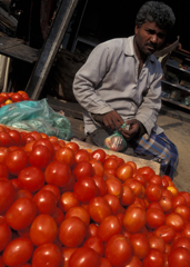 Tomatoes Street Market Stall Vendor 